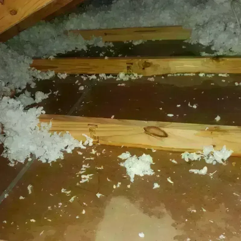 Attic Water Damage in Jackson County, MI