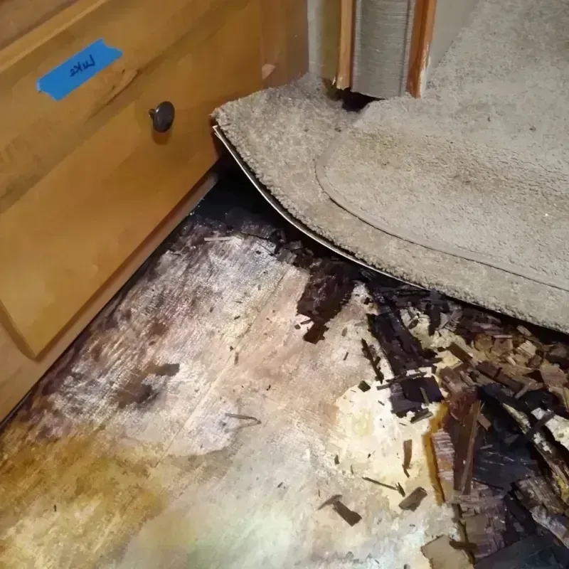 Wood Floor Water Damage in Jackson County, MI